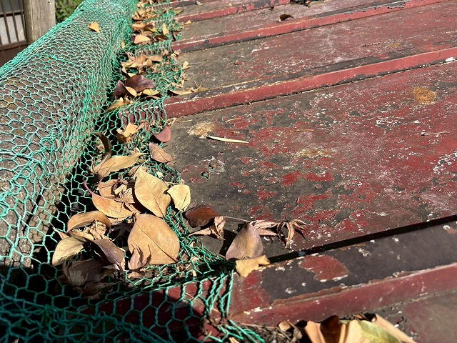 落ち葉が詰まった屋根